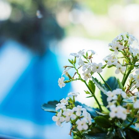 Apartment Huita Болзано Екстериор снимка